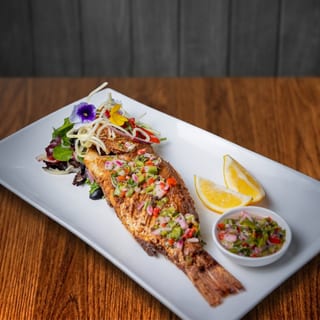 Red Snapper